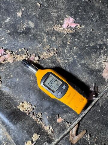 Relative Humidity