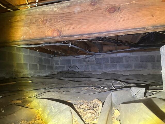 Damp Crawl Space