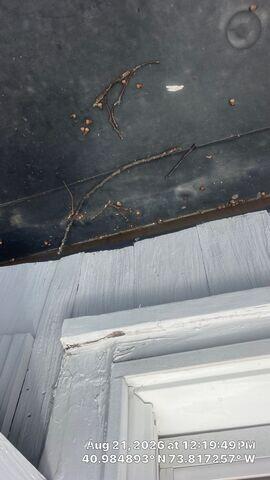 Roof needs repair work