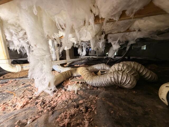 Crawl Space before
