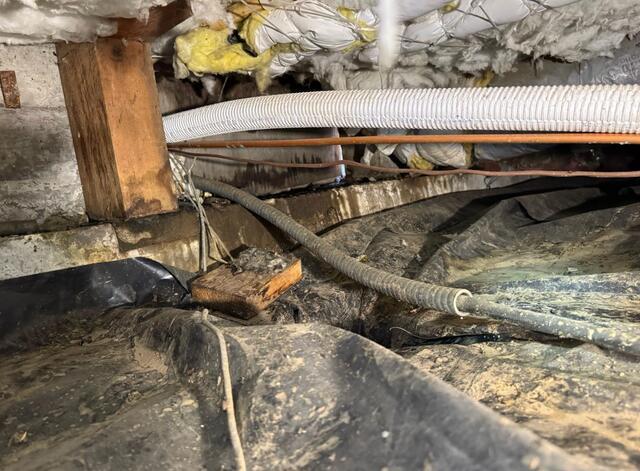 Nasty Crawl Space
