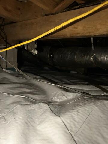 Crawl Space Sealed