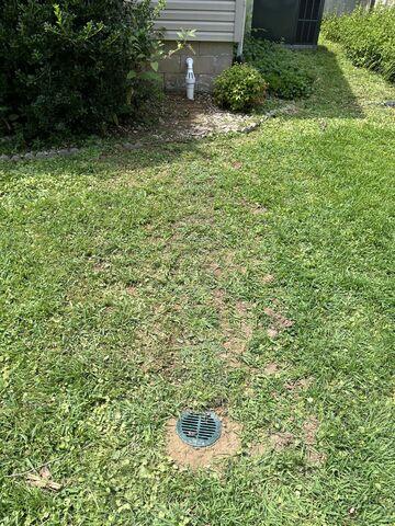 IceGuard and LawnScape Installed