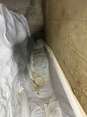 Filthy Vapor Barrier