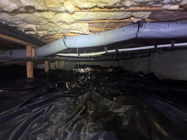 Black 6 Mil Liner