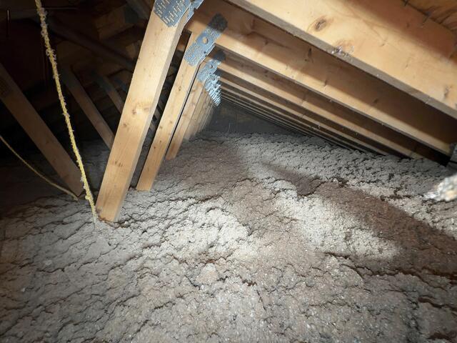 TruSoft Cellulose Insulation in Windsor, NY