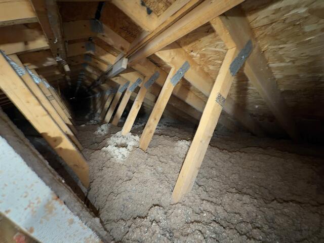 TruSoft Cellulose Insulation in Windsor, NY