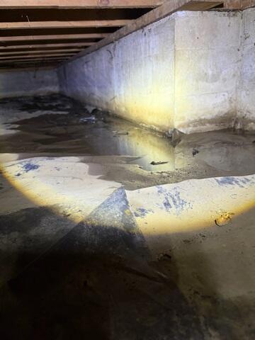 Standing Water