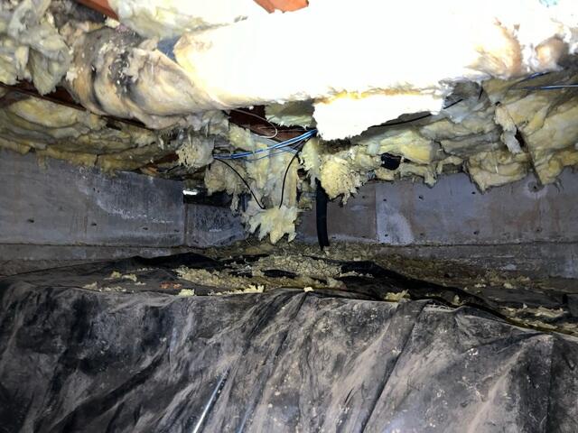 Nasty Crawl Space