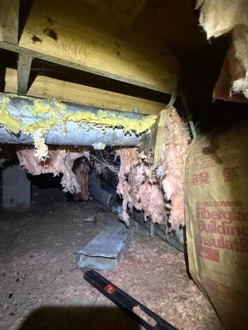 Crawl Space Damage