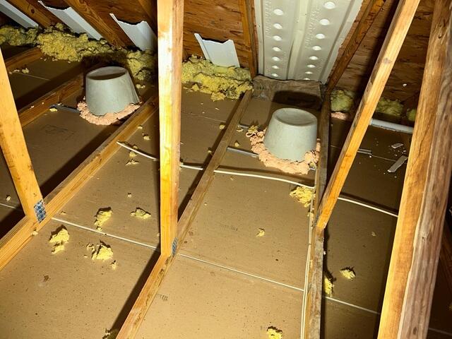 Air Sealed Attic