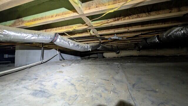 Nasty Crawl Space
