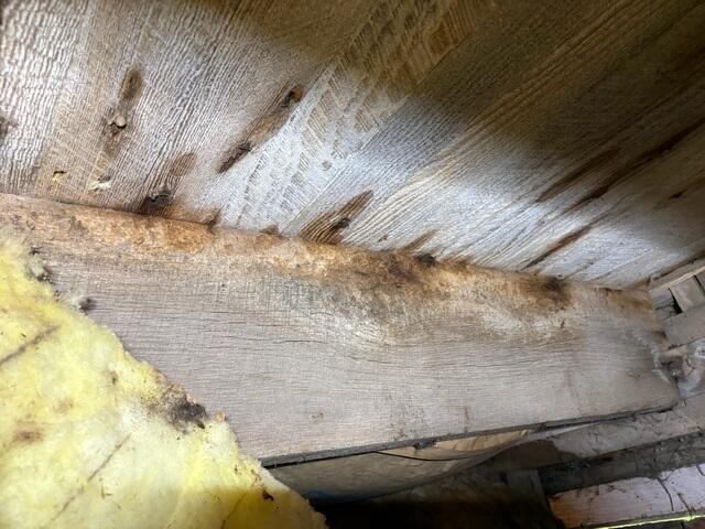Moisture in crawlspace