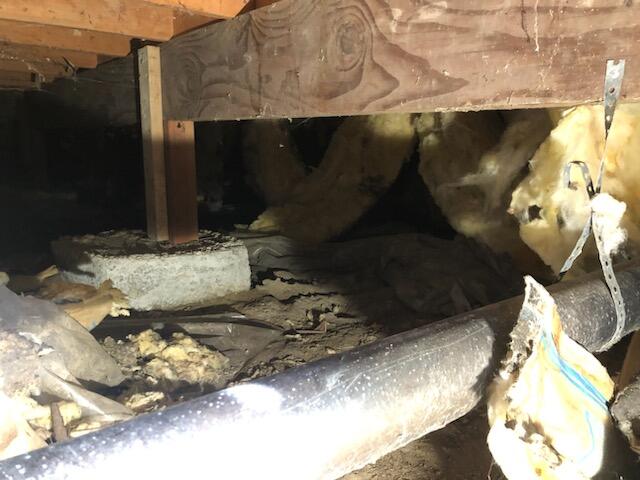 Before in Crawlspace