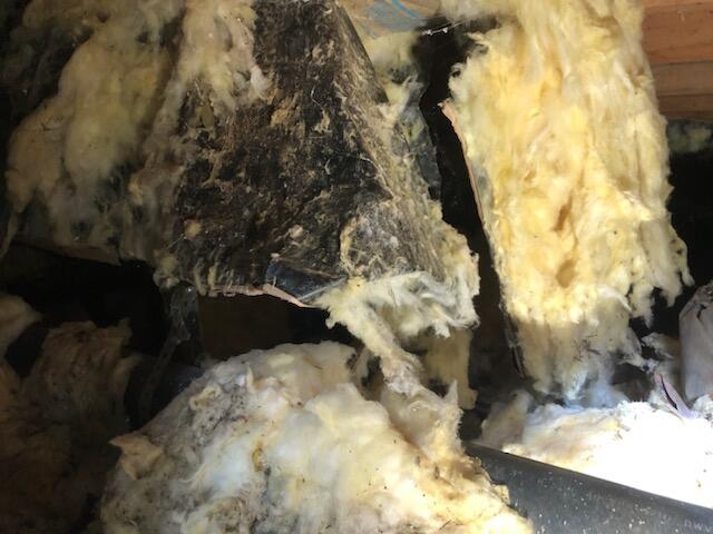Before in crawlspace