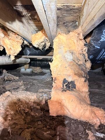 Unhealthy Crawl Space