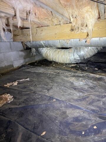 Crawl Space During Inspection