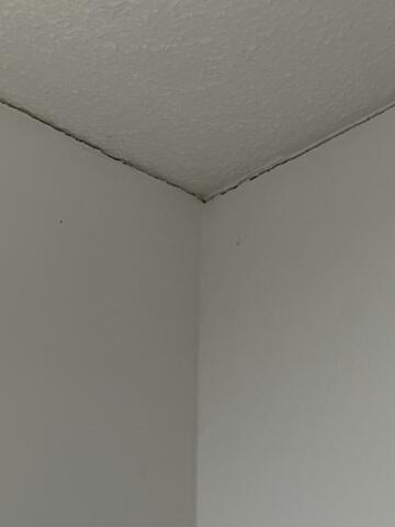 Ceiling Cracks