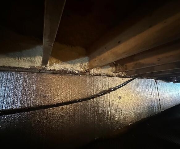 Silver Glo insulation and rim joist sealant