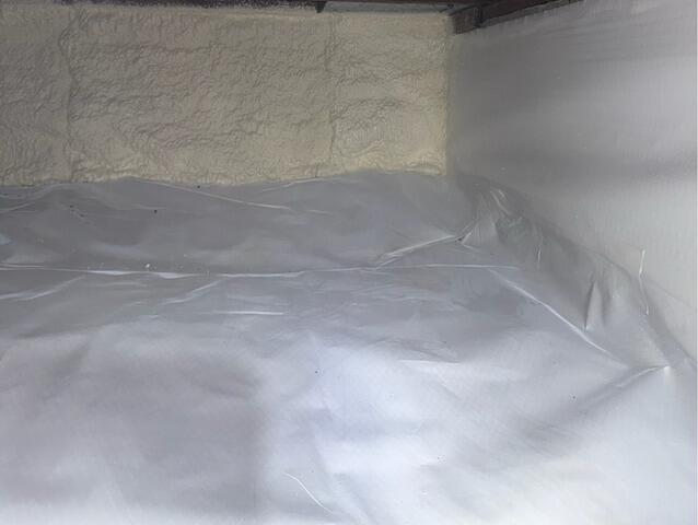 CleanSpace