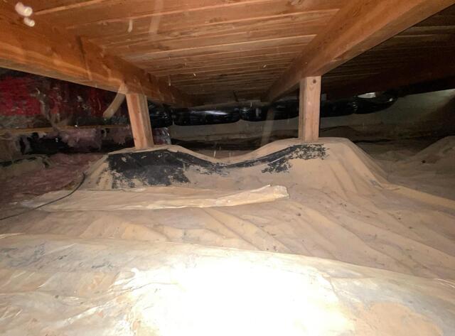 Dirty Crawl Space