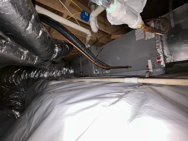 CleanSpace Liner