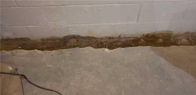 Trench Line