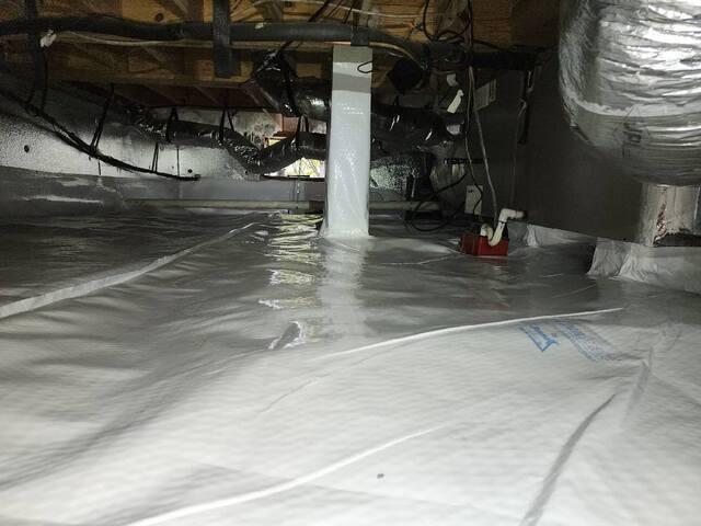 CleanSpace