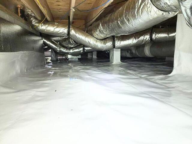 CleanSpace
