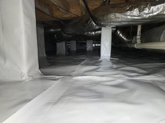 CleanSpace