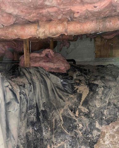 Hanging Fiberglass