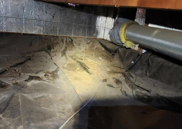 Musty Crawl Space