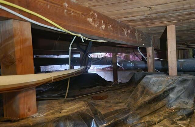Under Home Supports Needed Help