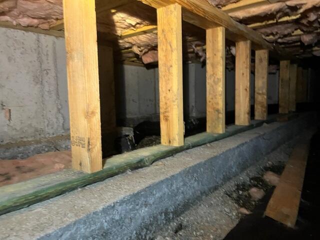 Nasty, Musty Crawl Space