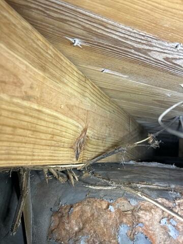 Treating the Joists and Subfloor