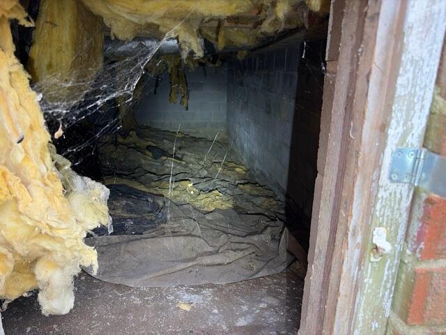 Crawl Space Before Encapsulation