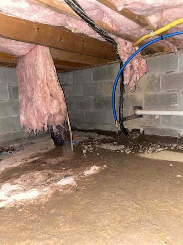 Crawl Space During Inspection