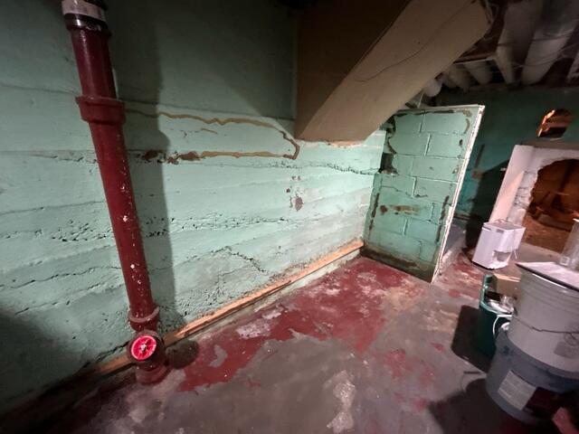 Basement During Inspection