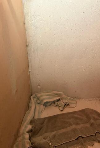 Wall Seepage