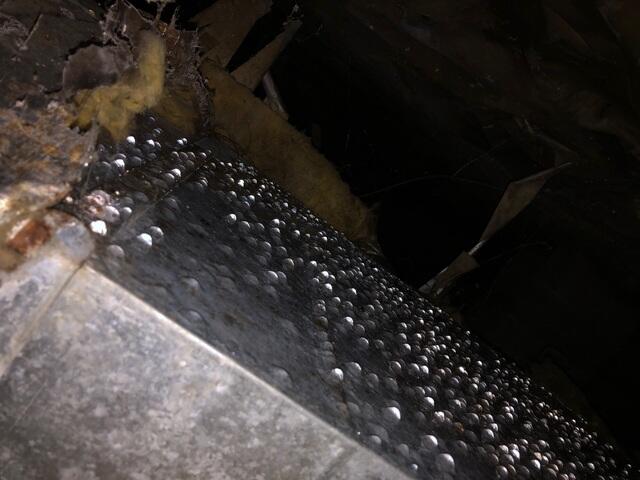 Visible Moisture Issues in Crawl Space
