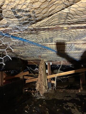Existing Crawl Space Support Conditions in Dana Point