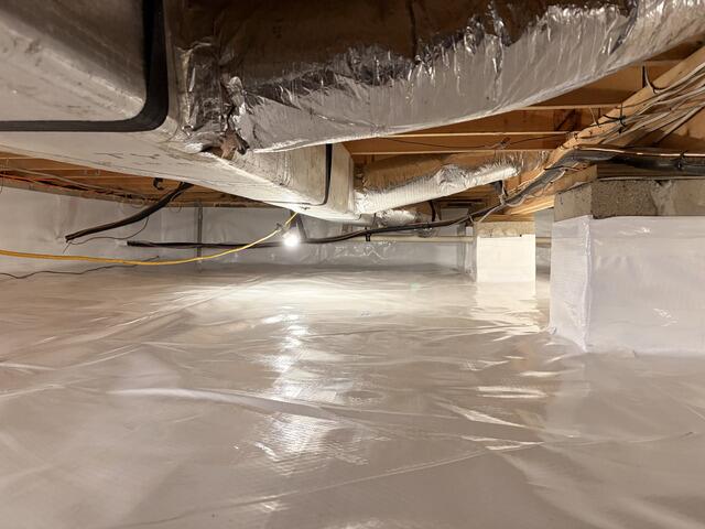 CleanSpace