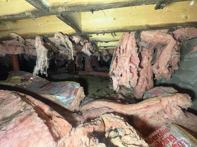 Damp Crawl Space
