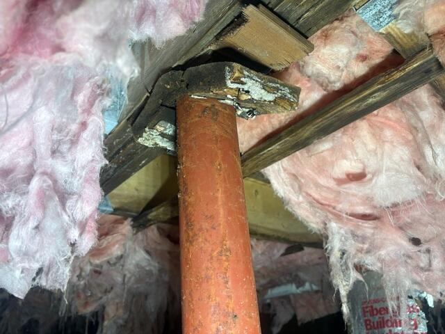 Wood Rot