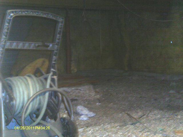 Dirty, Damp Crawl Space