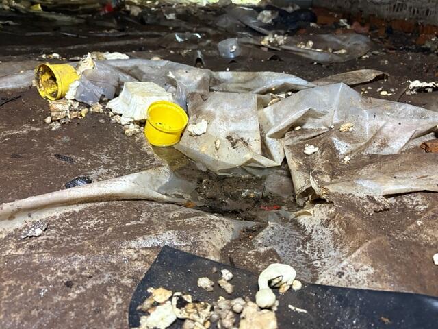 Standing water in crawl space