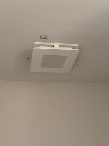 Powder Room Vent