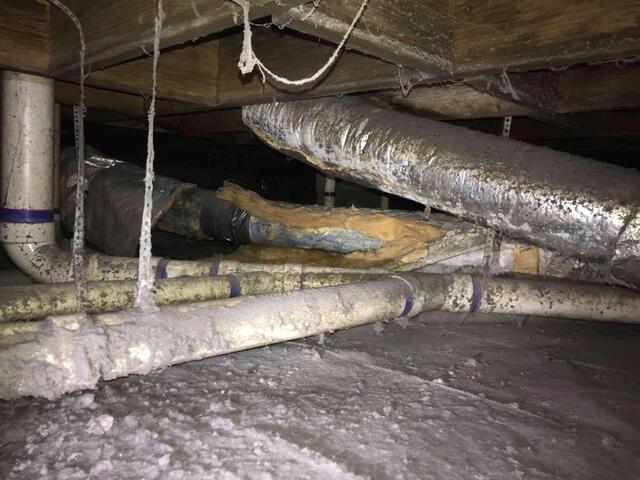 Mold in crawl space