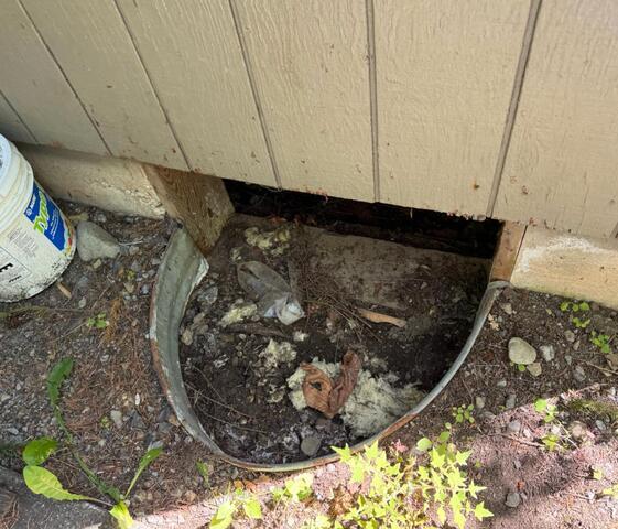 Faulty Crawl Space Entry