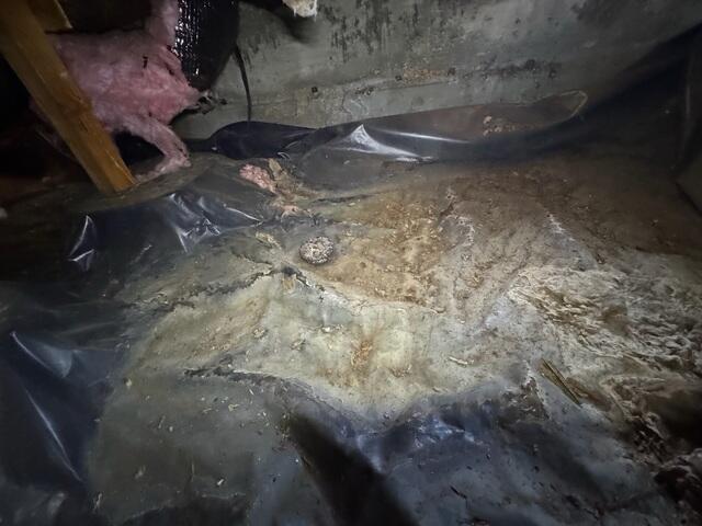 Filthy Crawl Space